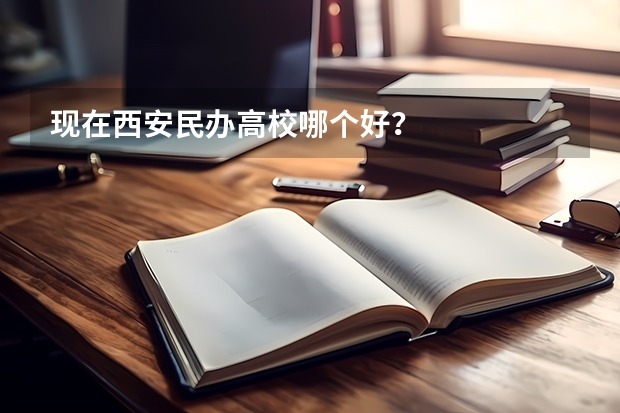现在西安民办高校哪个好？
