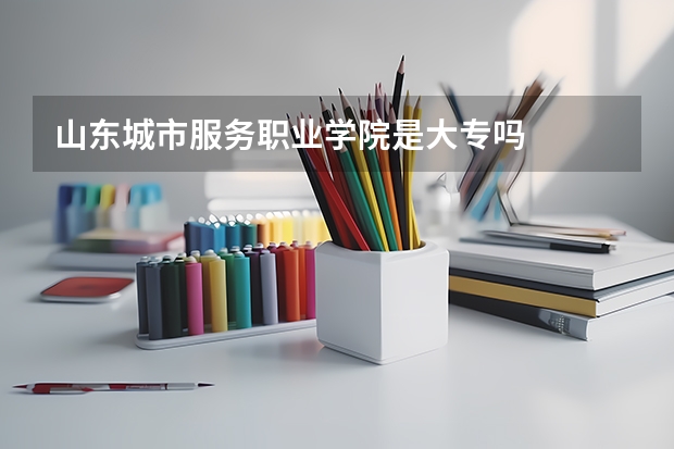 山东城市服务职业学院是大专吗