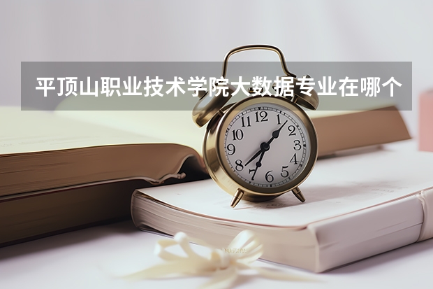 平顶山职业技术学院大数据专业在哪个校区