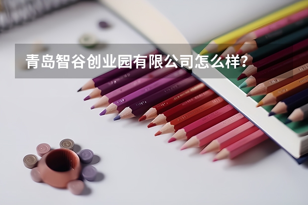 青岛智谷创业园有限公司怎么样？