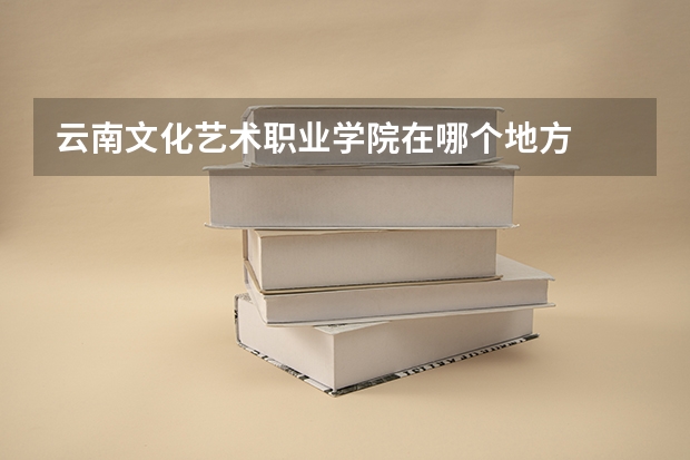 云南文化艺术职业学院在哪个地方