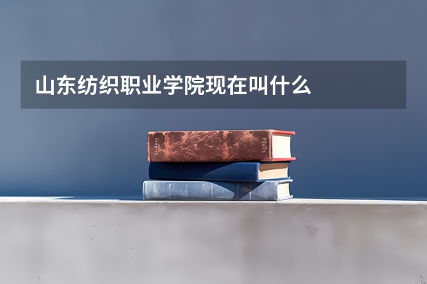 山东纺织职业学院现在叫什么