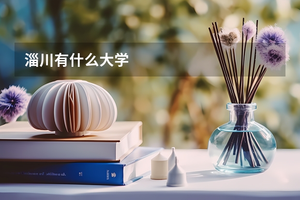 淄川有什么大学