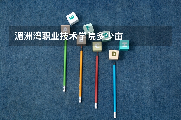 湄洲湾职业技术学院多少亩
