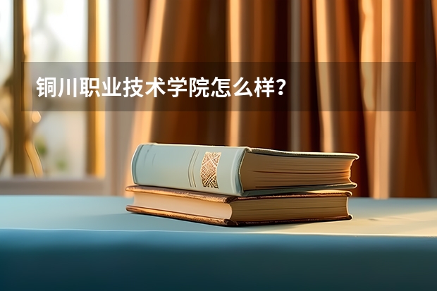 铜川职业技术学院怎么样？