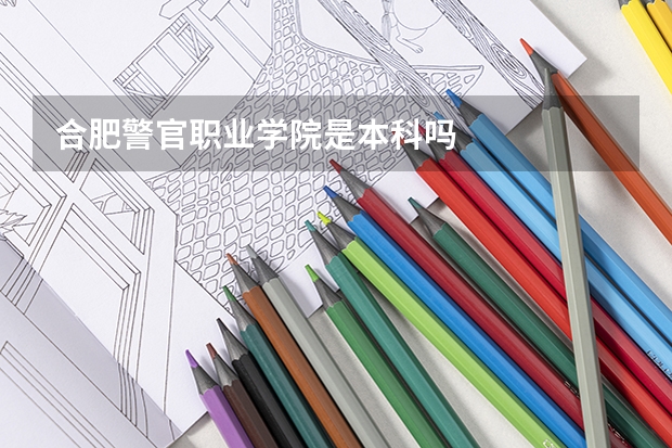 合肥警官职业学院是本科吗
