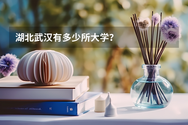 湖北武汉有多少所大学？