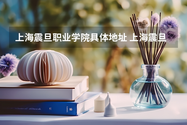 上海震旦职业学院具体地址 上海震旦职业学院中职部地址官网