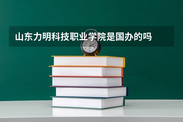 山东力明科技职业学院是国办的吗