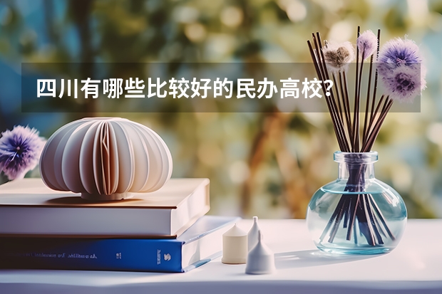 四川有哪些比较好的民办高校？