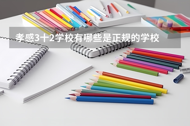 孝感3十2学校有哪些是正规的学校