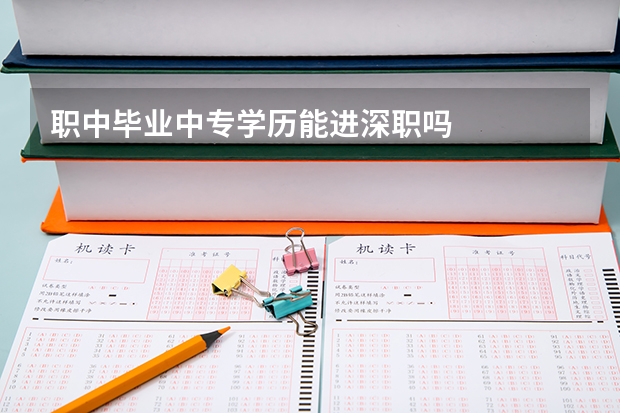 职中毕业中专学历能进深职吗