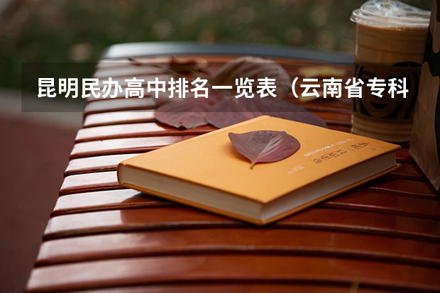昆明民办高中排名一览表（云南省专科学校排名）