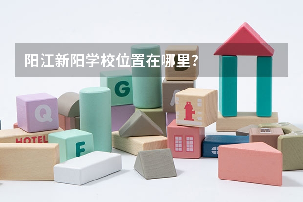 阳江新阳学校位置在哪里？