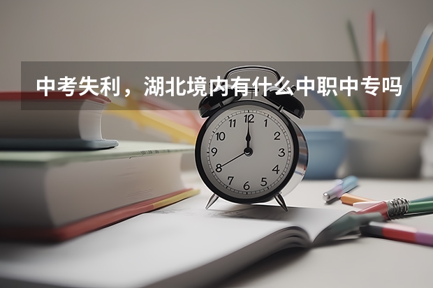 中考失利，湖北境内有什么中职中专吗？