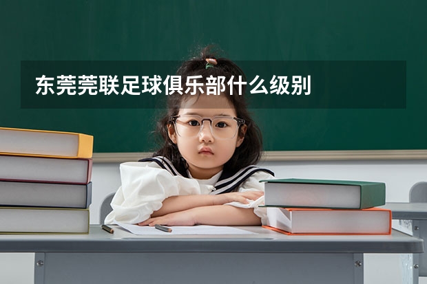 东莞莞联足球俱乐部什么级别