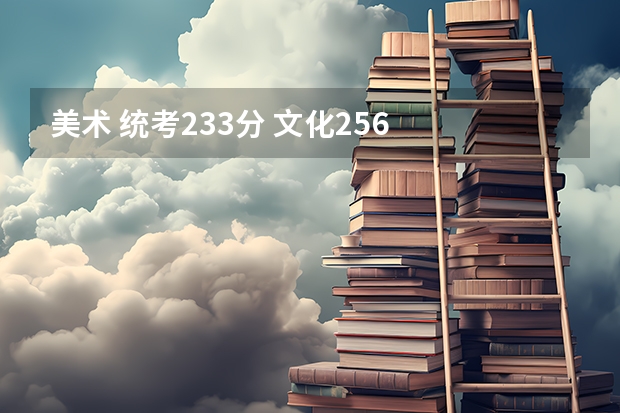 美术 统考233分 文化256  在南京能上什么学校