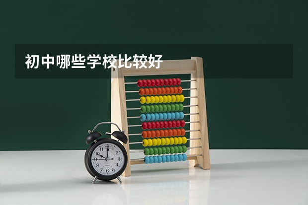 初中哪些学校比较好