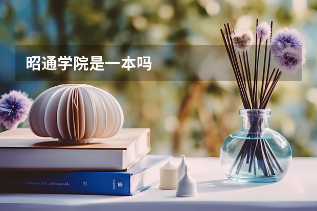 昭通学院是一本吗