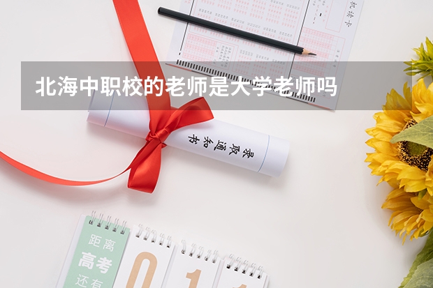 北海中职校的老师是大学老师吗