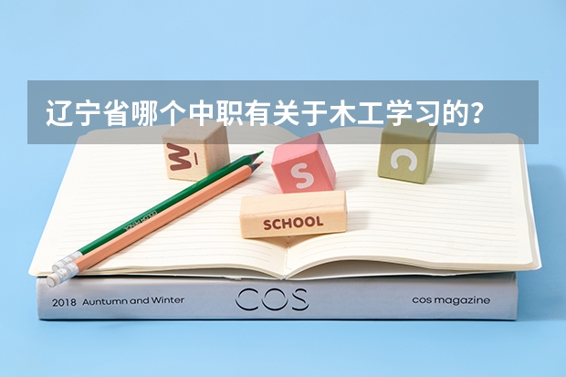 辽宁省哪个中职有关于木工学习的？