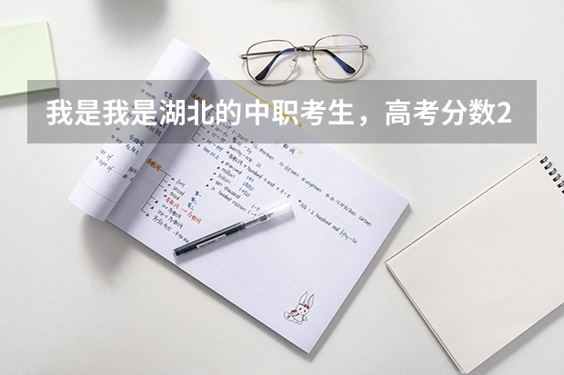 我是我是湖北的中职考生，高考分数296分。请问有哪些武汉学校供我选择