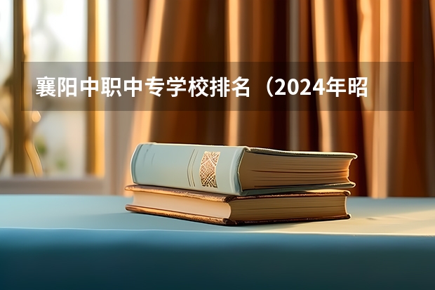 襄阳中职中专学校排名（2024年昭通汽车运用与维修中职学校排名榜）
