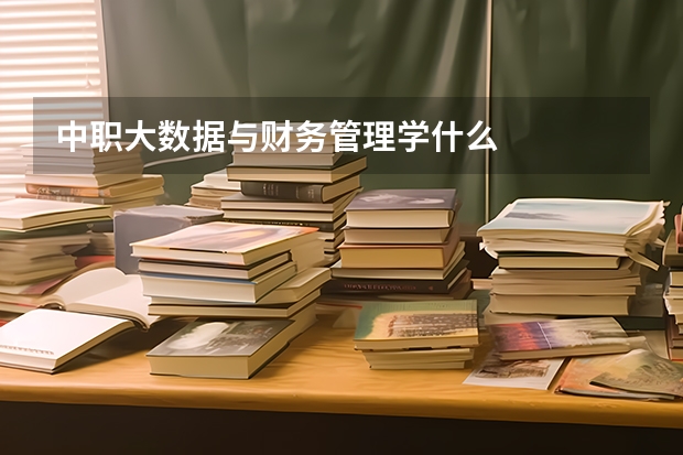 中职大数据与财务管理学什么