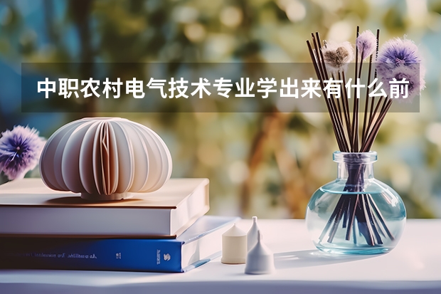 中职农村电气技术专业学出来有什么前途