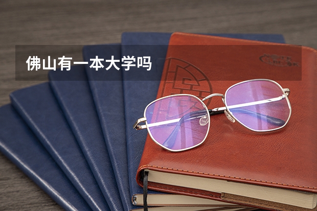 佛山有一本大学吗