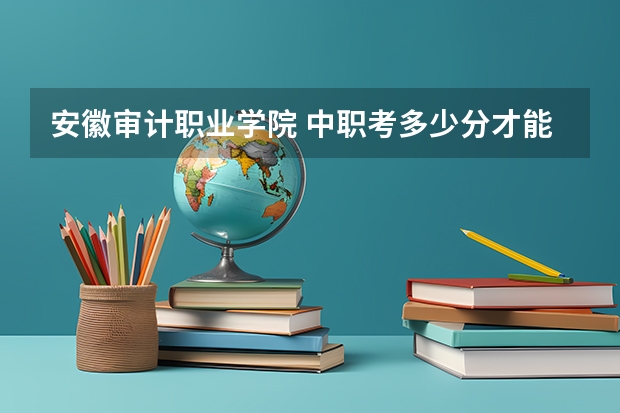 安徽审计职业学院 中职考多少分才能上
