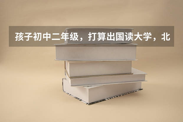 孩子初中二年级,打算出国读大学,北京哪一所国际学校国际高中好 孝感中职学校排名