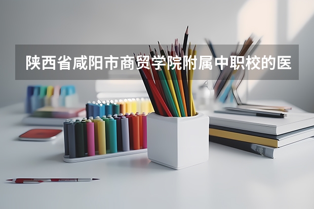 陕西省咸阳市商贸学院附属中职校的医药营销专业如何